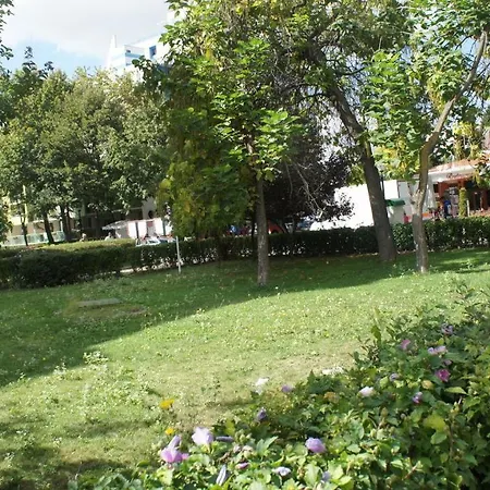 Miramar Front Self Catering No Swim Pool Access סאני ביץ'